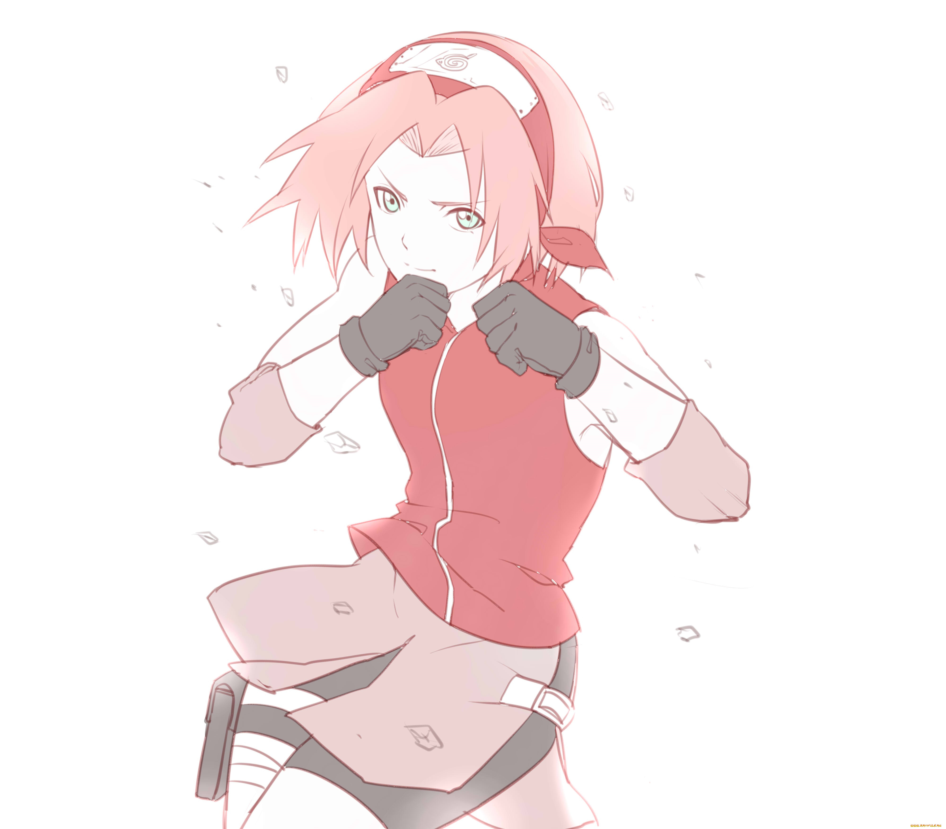 , naruto, 